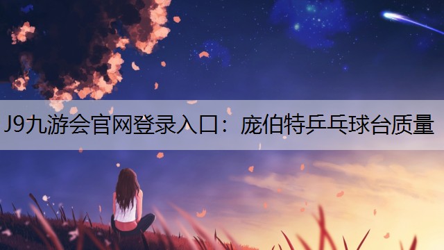 庞伯特乒乓球台质量